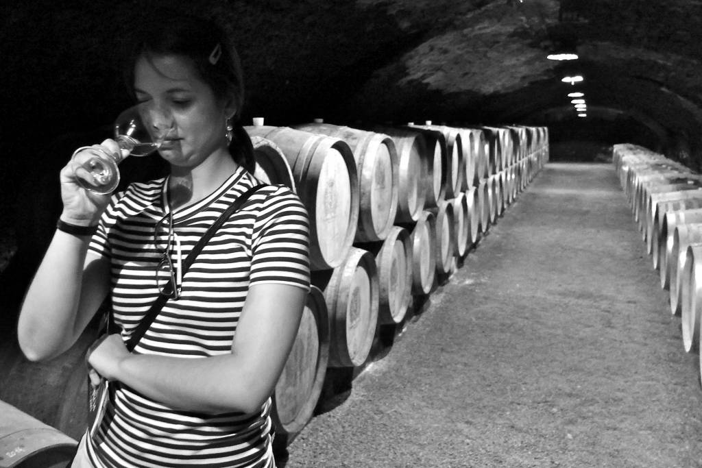 Cata en de vinos Chateau Pommard - Francia